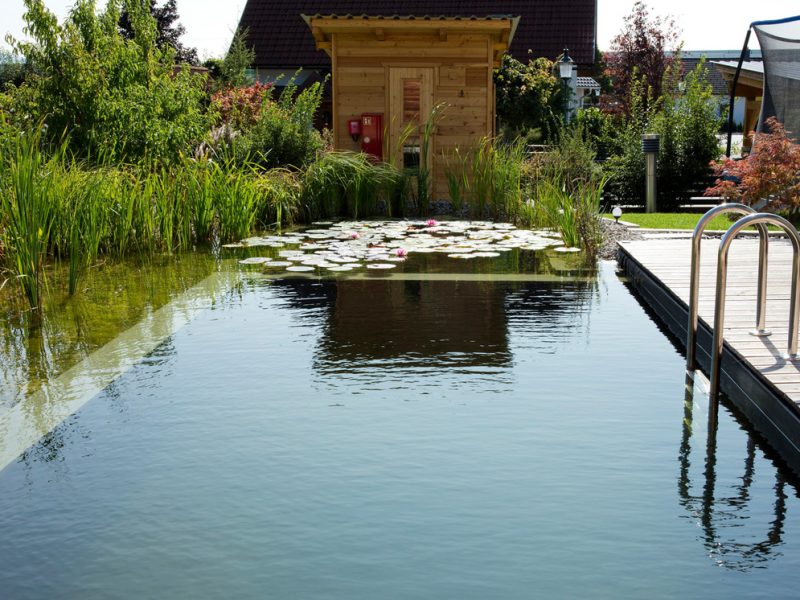 Schwimmteich mit Becken 6 x 3 m 
Sauna gebraucht gekauft abgebaut in einem Tag wiegt etwa 2 t und im Garten wieder aufgebaut  Einstiegsleiter aus Edelstahl
Steg aus Lärchenholz geriffelt und von oben geschraubt